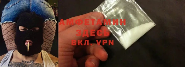 прущие грибы Горняк