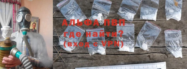 прущие грибы Горняк