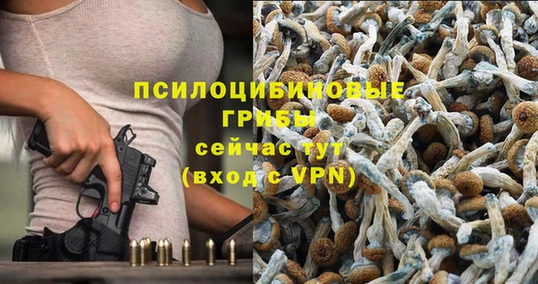 дживик Горно-Алтайск