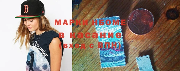 прущие грибы Горняк