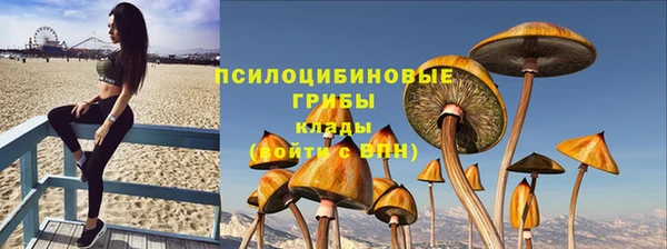 дживик Горно-Алтайск