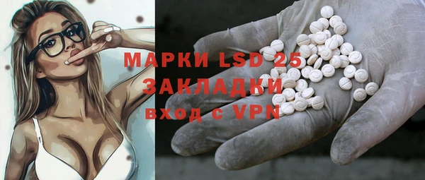 прущие грибы Горняк