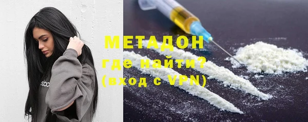 прущие грибы Горняк