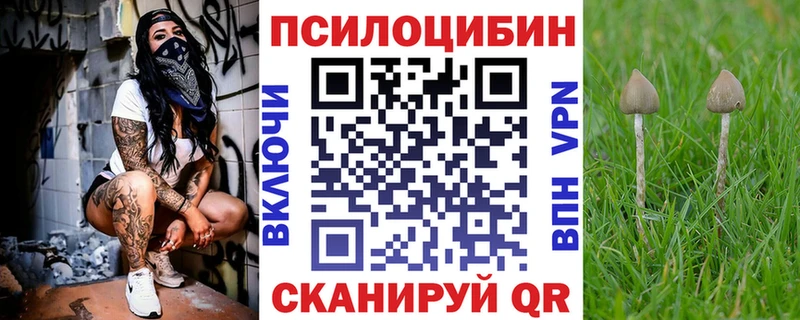 Галлюциногенные грибы мухоморы  Купить где  Неман 
